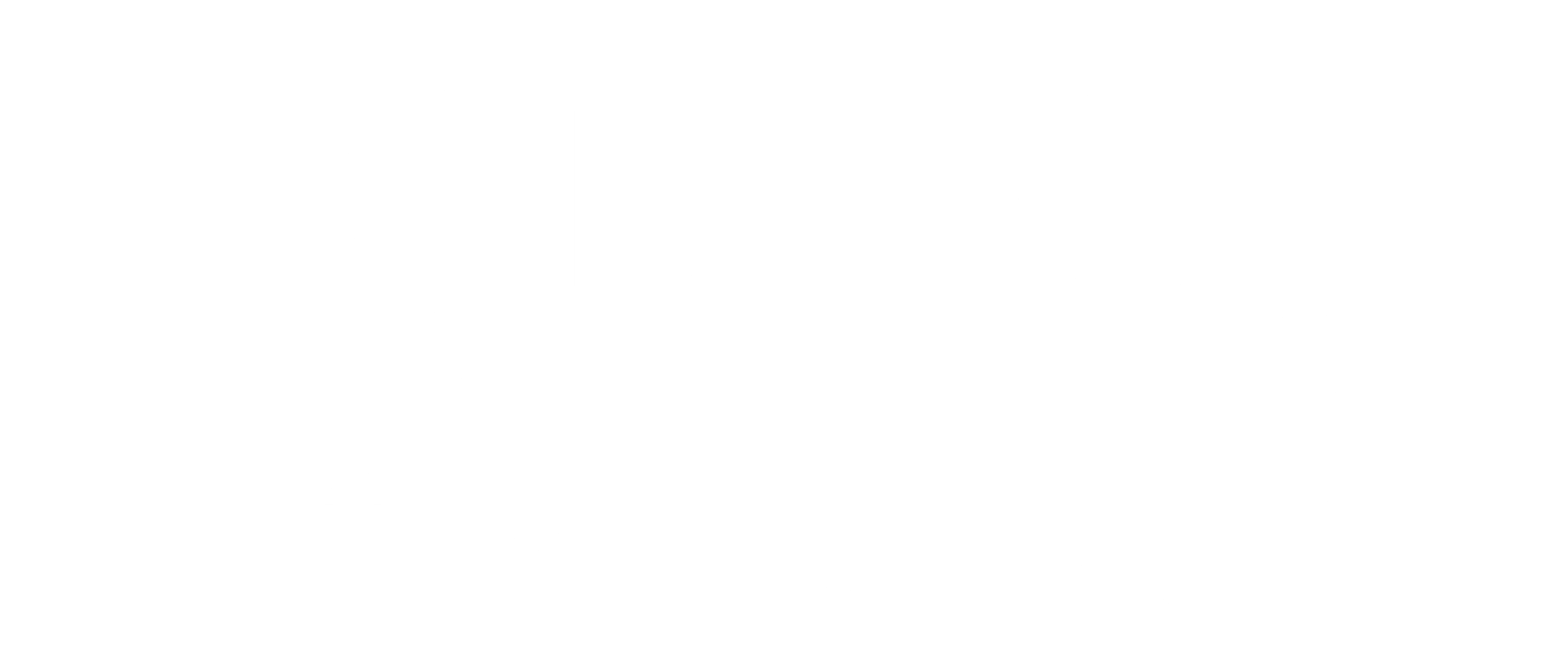 Birds on a Wire's Online Store